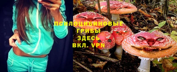 круглые Абаза