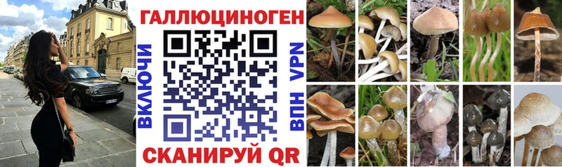 Псилоцибиновые грибы мицелий Сызрань