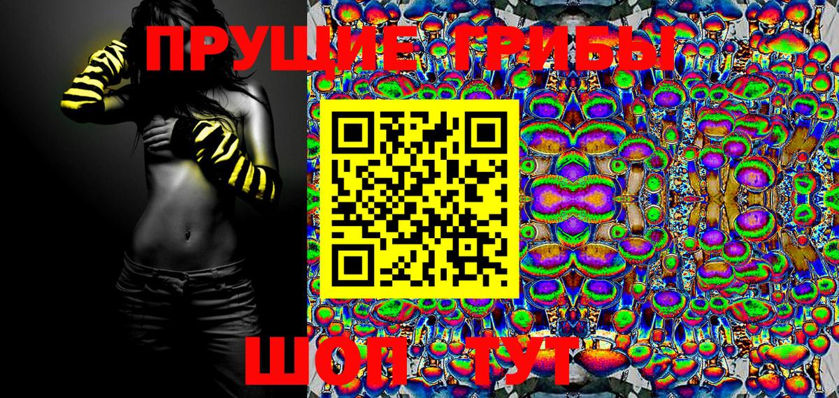 Псилоцибиновые грибы Psilocybe Сызрань